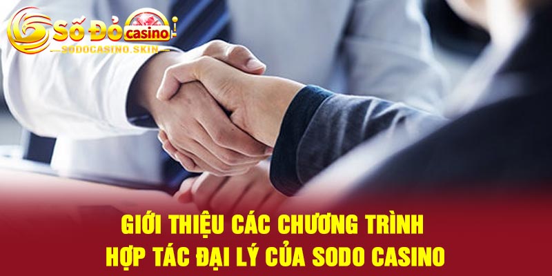 Giới thiệu các chương trình hợp tác đại lý của Sodo Casino
